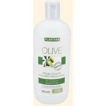 Plantana Oliven Butter Pflege-Dusche 500ml
